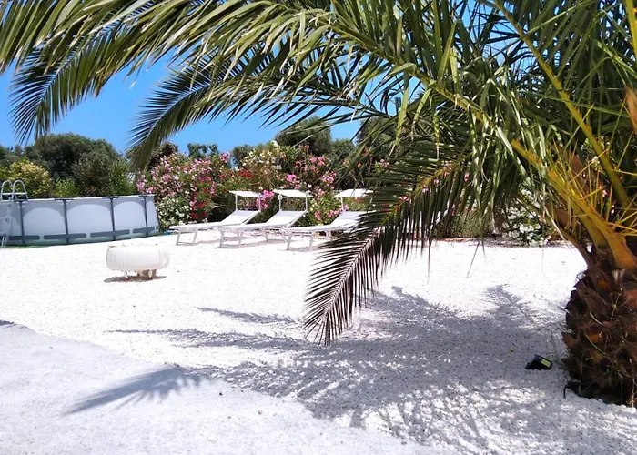 Trullo Bianco Ulivo