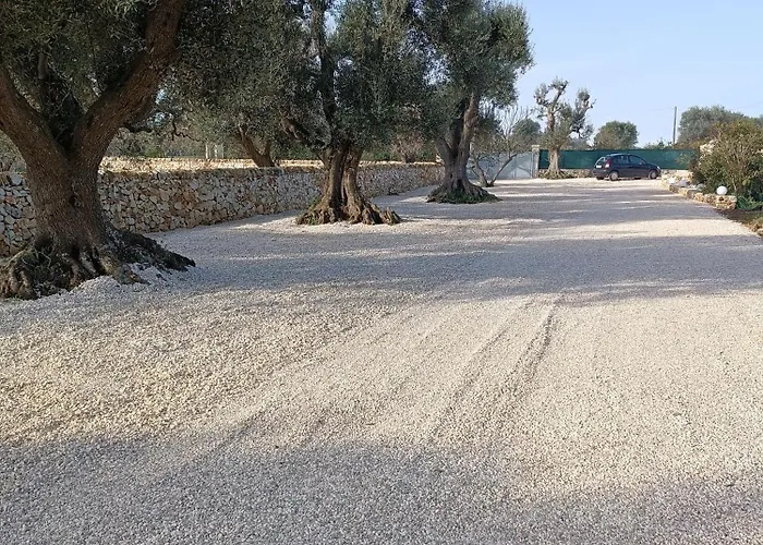 Trullo Bianco Ulivo *