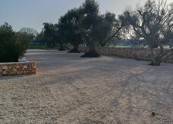 Trullo Bianco Ulivo Ostuni