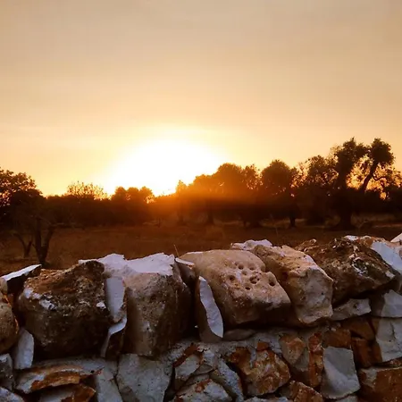 Vakantiehuis Trullo Bianco Ulivo *
