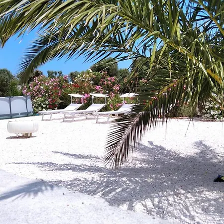 Trullo Bianco Ulivo