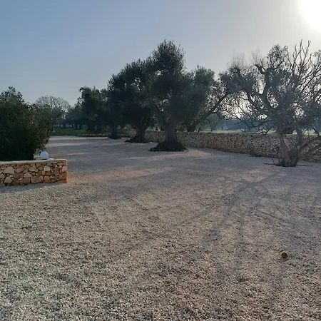 Trullo Bianco Ulivo Ostuni